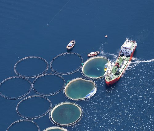 AQUACULTURE
